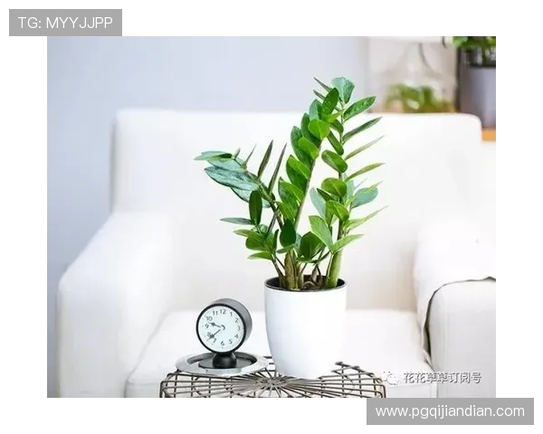 深入分析PG黄金摇钱树策略，开启高效盈利的黄金摇钱树投资新路径