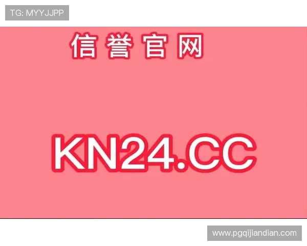 PG网赌网站的技术保障措施详解，确保每一位玩家都能享受安全稳定的游戏环境